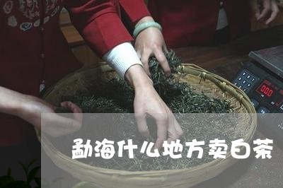 勐海什么地方卖白茶/2023121712514