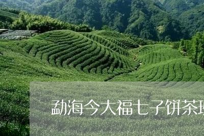 勐海今大福七子饼茶班章精品青茶/2023060145279