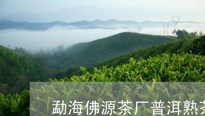 勐海佛源茶厂普洱熟茶/2023092437472