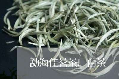 勐海佳茗茶厂白茶/2023061539893