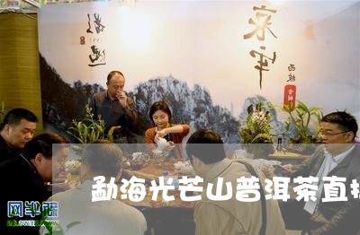 勐海光芒山普洱茶直播/2023080124036