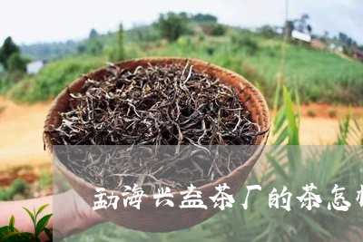 勐海兴益茶厂的茶怎样/2023071672626