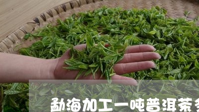 勐海加工一吨普洱茶多少钱/2023051023716