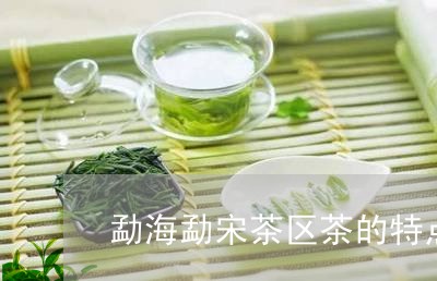 勐海勐宋茶区茶的特点/2023092260581