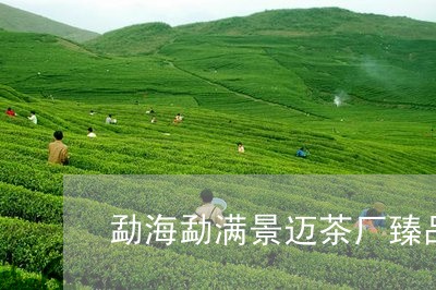 勐海勐满景迈茶厂臻品/2023071663927