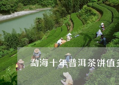 勐海十年普洱茶饼值多少钱/2023051142736