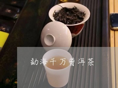 勐海千万普洱茶/2023112681596