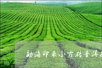 勐海印象小方砖普洱茶/2023092938152