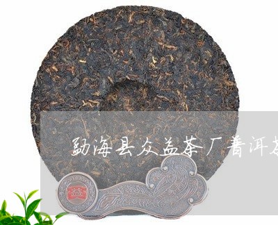 勐海县众益茶厂普洱茶/2023092895927