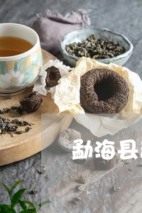 勐海县普洱茶知识大全/2023062303149