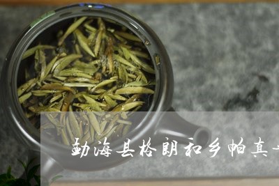 勐海县格朗和乡帕真普洱茶/2024010488605