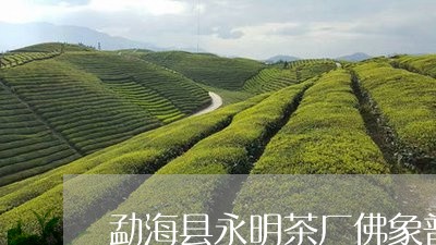 勐海县永明茶厂佛象普洱茶/2023051064158