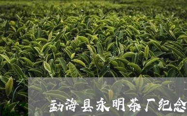 勐海县永明茶厂纪念版/2023092156370