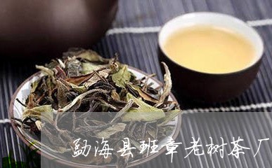 勐海县班章老树茶厂16年冰岛/2023053100502