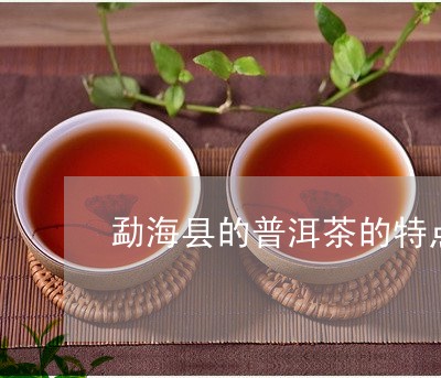 勐海县的普洱茶的特点/2023072363038