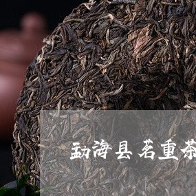 勐海县茗重茶厂布朗普洱生茶价格/2023060335939