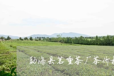 勐海县茗重茶厂茶价格/2023071682624