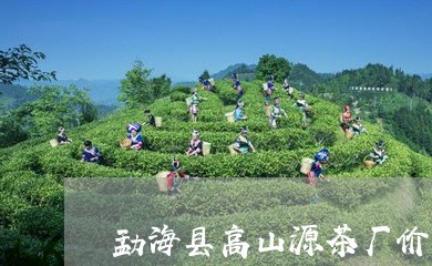 勐海县高山源茶厂价格/2023071682940