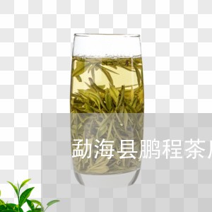 勐海县鹏程茶厂怎么样/2023071688179