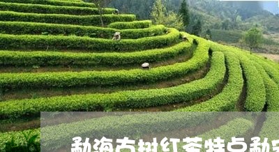 勐海古树红茶特点勐宋茶叶的特点/2023060117382