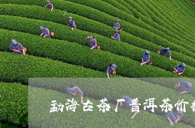 勐海古茶厂普洱茶价格表/2023120798584