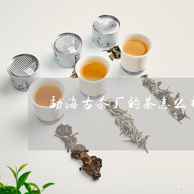 勐海古茶厂的茶怎么样/2023060939704