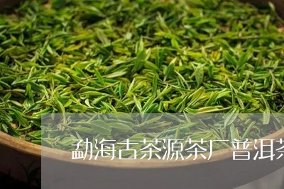 勐海古茶源茶厂普洱茶/2023080387260