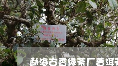 勐海古香缘茶厂普洱茶/2023092941606