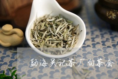 勐海吴记茶厂白茶会/2023121707172