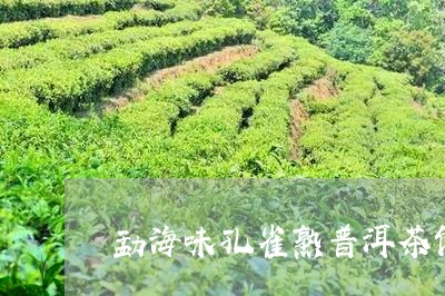 勐海味孔雀熟普洱茶饼/2023120779595