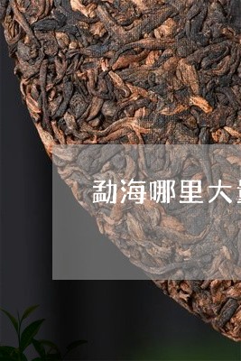 勐海哪里大量收购普洱茶毛料/2023082686179