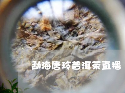 勐海唐玲普洱茶直播/2023120487159