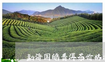 勐海国皓普洱茶价格表/2023092701603