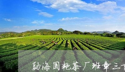 勐海国艳茶厂班章三队/2023092256160