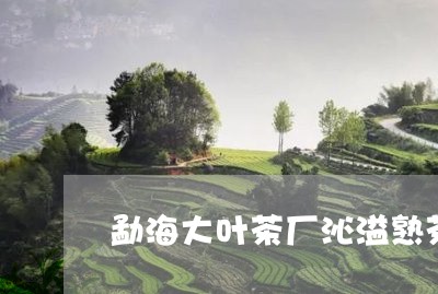 勐海大叶茶厂沁溢熟茶/2023092215039