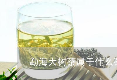 勐海大树茶属于什么茶/2023071626049