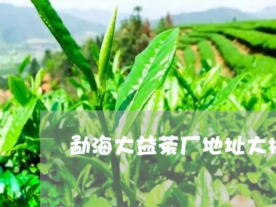 勐海大益茶厂地址大树普洱茶的价格/2023060339592