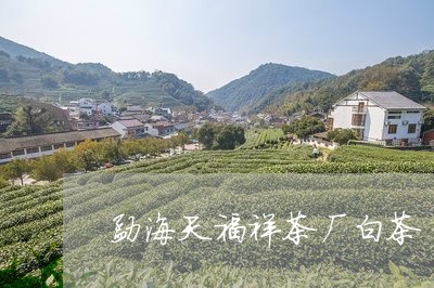 勐海天福祥茶厂白茶/2023121751513