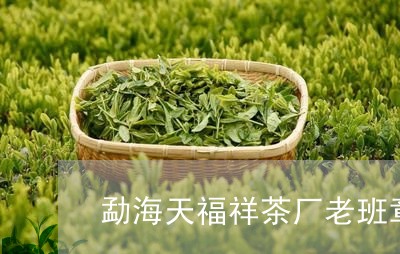 勐海天福祥茶厂老班章茶饼价格/2023053196358