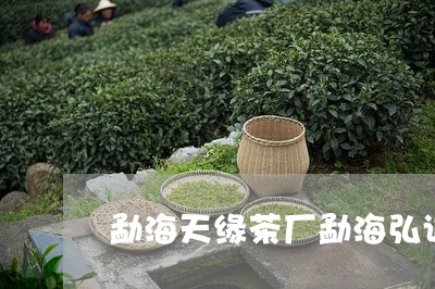 勐海天缘茶厂勐海弘诚茶厂至尊号/2023060153714