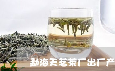 勐海天茗茶厂出厂产品/2023092179360