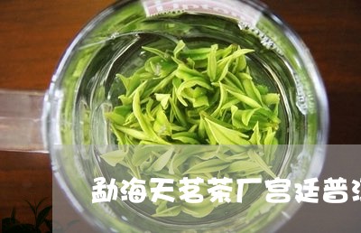 勐海天茗茶厂宫廷普洱茶/2023120701718