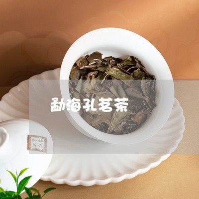 勐海孔茗茶/2023041766992