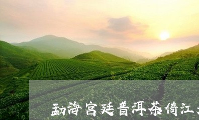 勐海宫廷普洱茶倚江春普洱茶怎么样/2023060300925