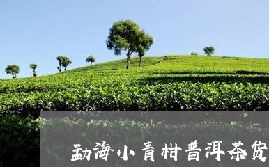 勐海小青柑普洱茶货源/2023062279525