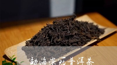 勐海崇冠普洱茶/2023112674039