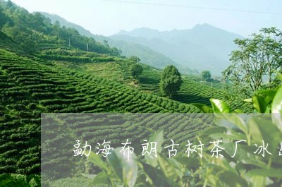 勐海布朗古树茶厂冰岛普洱茶/2023052741504