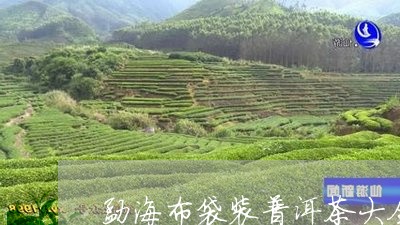 勐海布袋装普洱茶大全/2023062303056