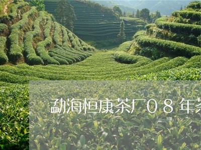 勐海恒康茶厂08年茶/2023071633838