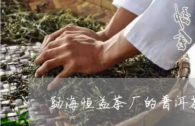 勐海恒益茶厂的普洱茶/2023093006047